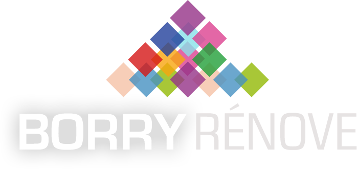 LOGO BORRYRÉNOVE